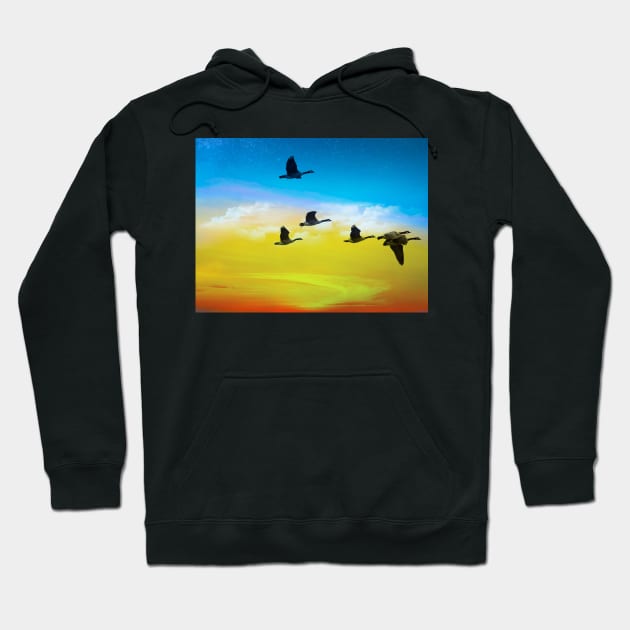 Birds Flying In The Colorful Sky T-shirt Hoodie by KathyG'sArt